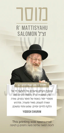 R' Mattisyahu Salomon: Mussar [Yiddish] (USB)