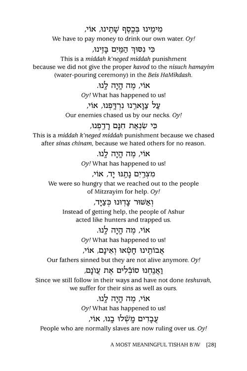 A Most Meaningful Tishah B'Av