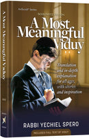 A Most Meaningful Viduy