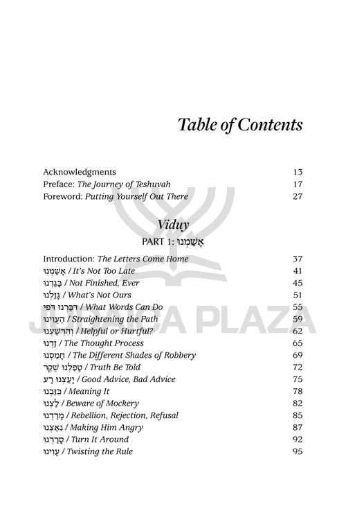 A Most Meaningful Viduy