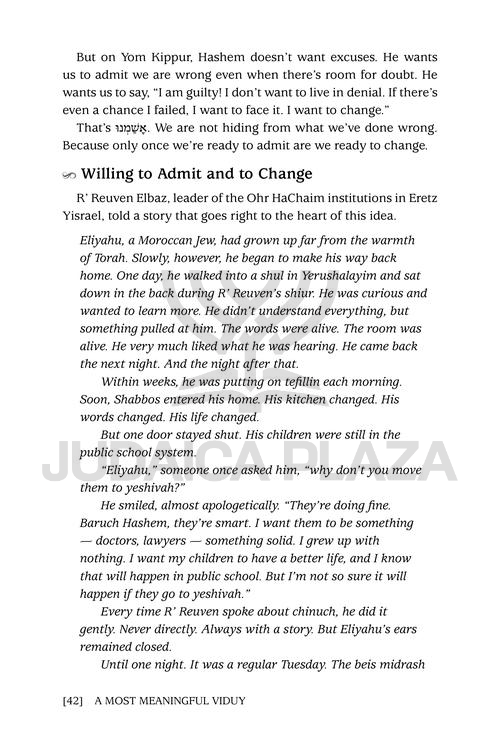 A Most Meaningful Viduy