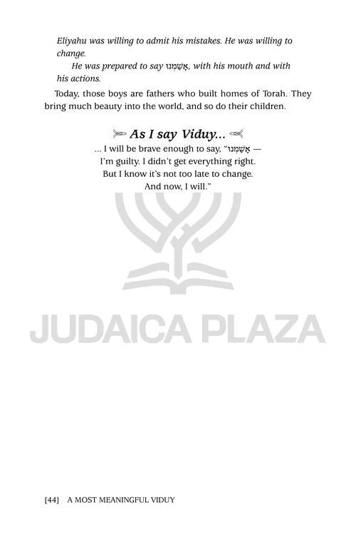 A Most Meaningful Viduy