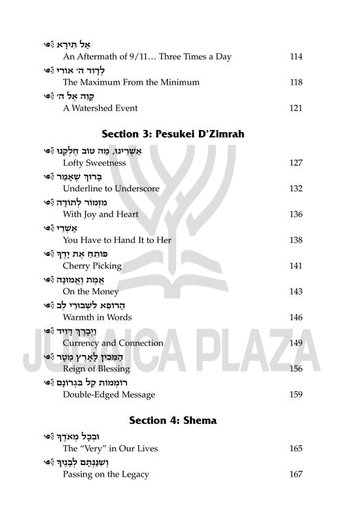 The Maggid on Tefillah