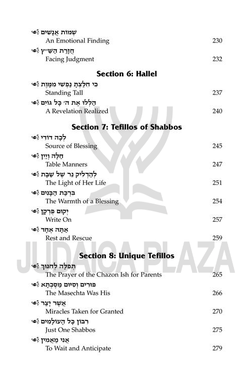 The Maggid on Tefillah