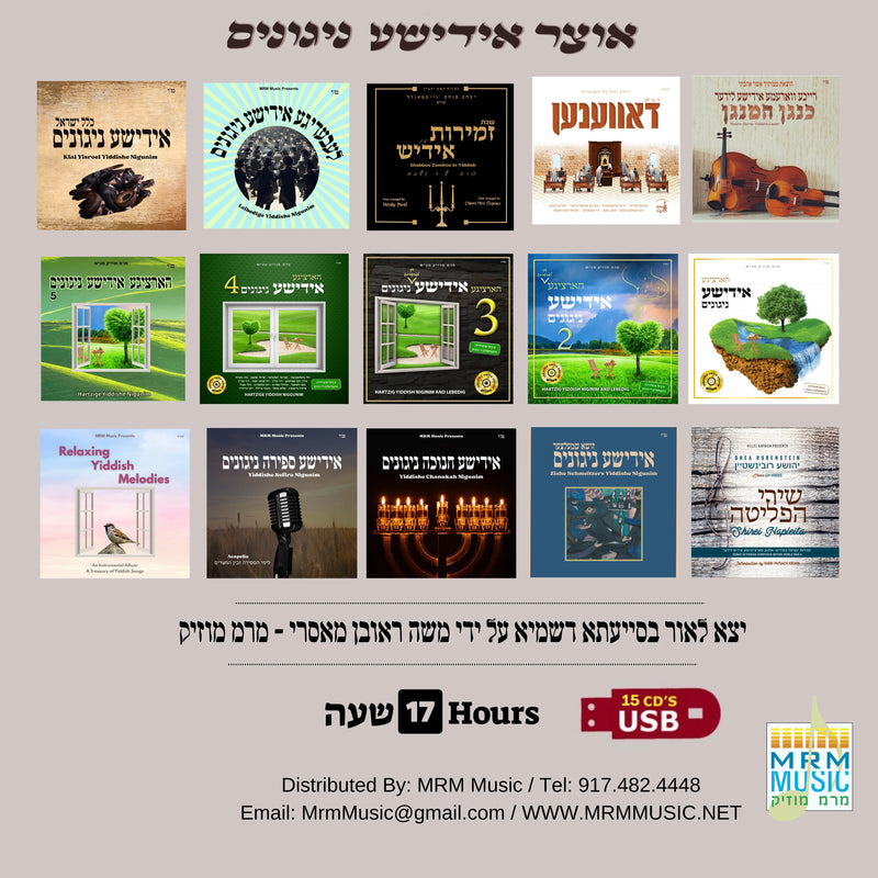 Oitzer Yiddishe Nigunim (USB)