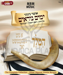 The Oitzer Nigunei Yomim Noraim Collection (USB)