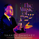 The Music of Shabbos (USB)