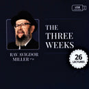 R' Avigdor Miller - The Three Weeks (USB)