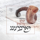 A Skulener Yumim Noraim Farbreng (USB)
