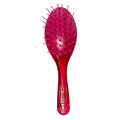 Kosher & Smart: Shabbos Brush [Rabbinically Approved]
