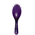 Kosher & Smart: Shabbos Brush [Rabbinically Approved]
