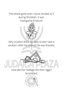 Zaidy Jokes - Plotz Edition