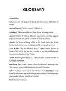 I Never Met The Rebbe Many Times