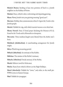 I Never Met The Rebbe Many Times