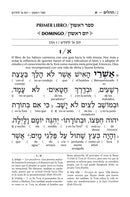 Artscroll Interlinear Tehillim: Hardcover - Spanish