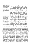 Sh'nayim Mikra V'Echad Targum - 5 Volume Set
