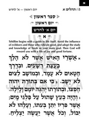 Artscroll Hebrew Tehillim Nochum Tzvi with English Introductions - Extra Large Type