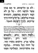Artscroll Hebrew Tehillim Nochum Tzvi with English Introductions - Extra Large Type