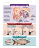 The Book of Torah, Timelines, Charts, and Maps
