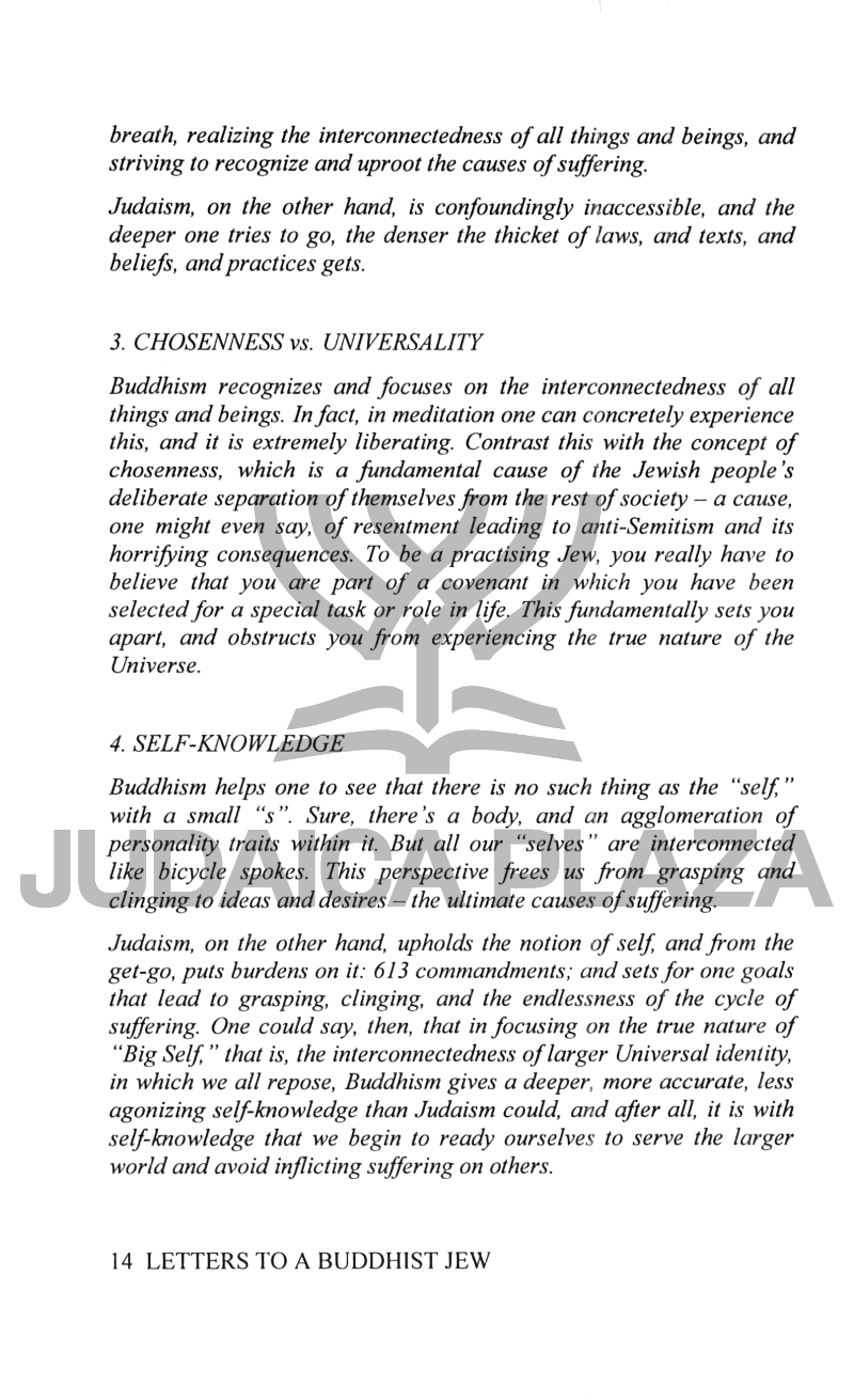 Letters to a Buddhist Jew