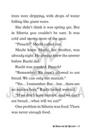 Stuck in Siberia: The Seder Secret - Book 3