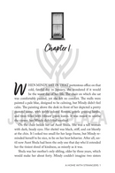 A Home with Strangers - A Novel