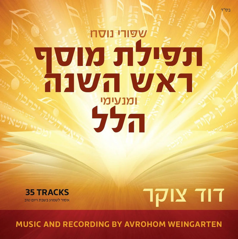 Dovid Cukier - Nusach Collection (USB)