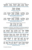 Bircas Hamazon And Zemiros: Translated And Transliterated - White