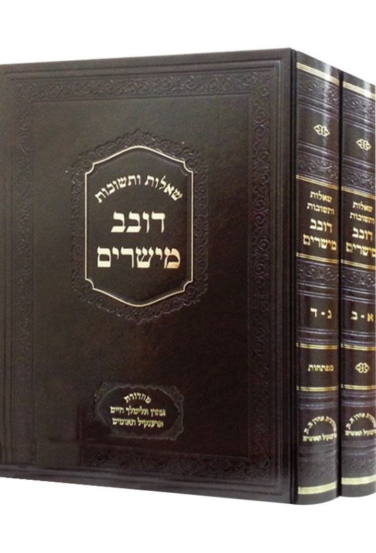 Shut Doveiv Meisharim 2 Volume Set - שו"ת דובב מישרים הרב מטשעבין 2 כרכים