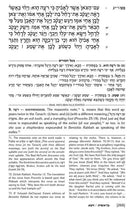 Baal Haturim Chumash