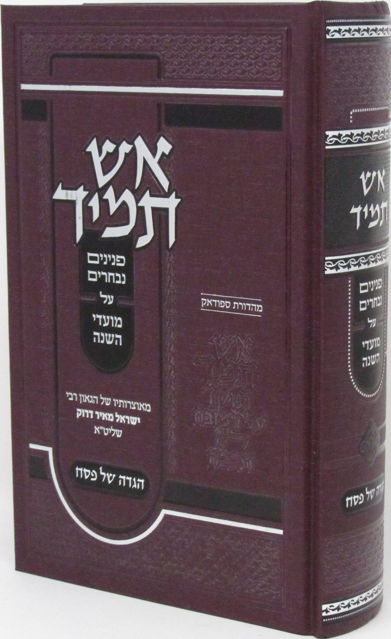 Haggadah Shel Pesach Im Aish Tamid - הגדה של פסח עם אש תמיד