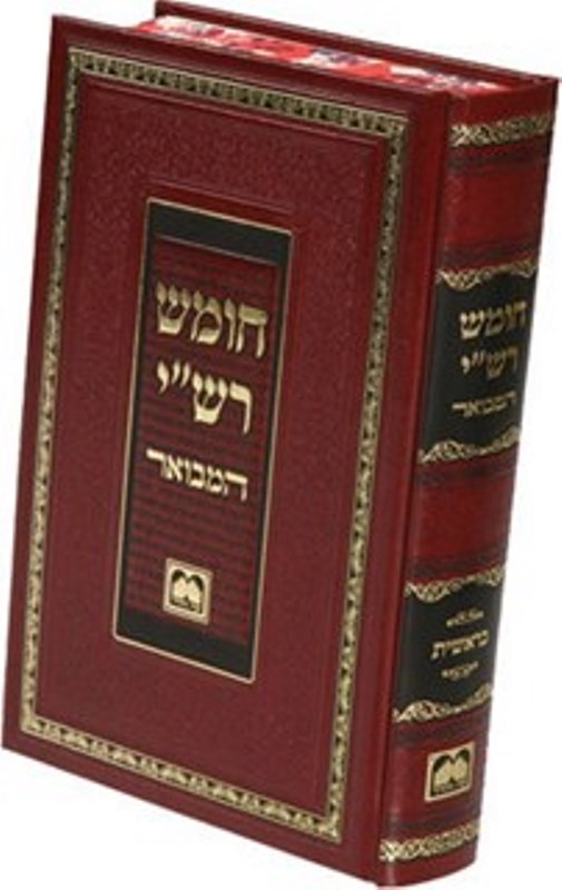 Chumash Rashi Hamevuar Oz Vehadar 5 Volume Set - חומש רשי המבואר עוז והדר 5 כרכים