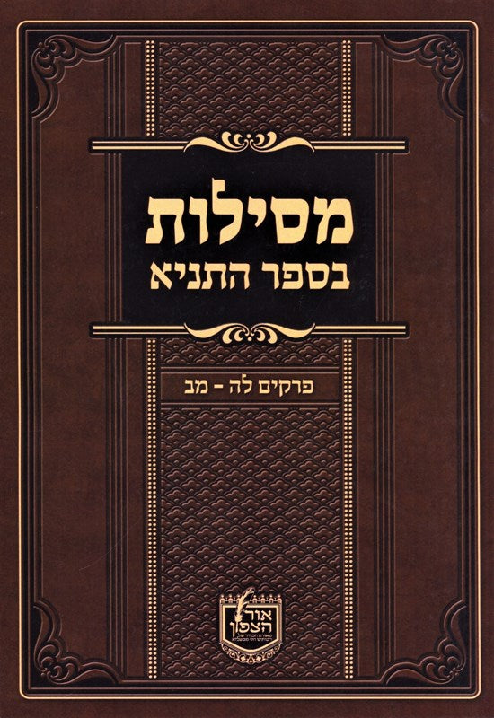 Mesilos B'sefer Hatanya Perakim 35 - 42 - מסילות בספר התניא פרקים לה - מב