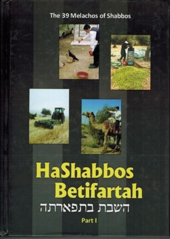 HaShabbos Betifartah Part 1