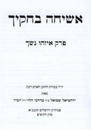 Asicha B'Chukecha Al Perek Eizehu Neshech - אשיחה בחקיך על פרק איזהו נשך