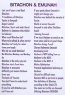 R' Simcha Bunim Cohen: Bitachon & Emunah (USB)