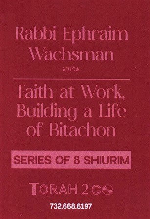 R' Ephraim Wachsman: Faith at Work, Building a Life of Bitachon [Series of 8 Shiurim] (USB)