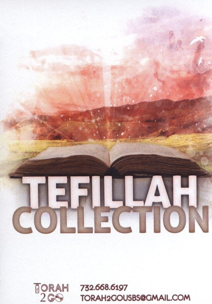 Torah 2 Go: Tefillah Collection (USB)