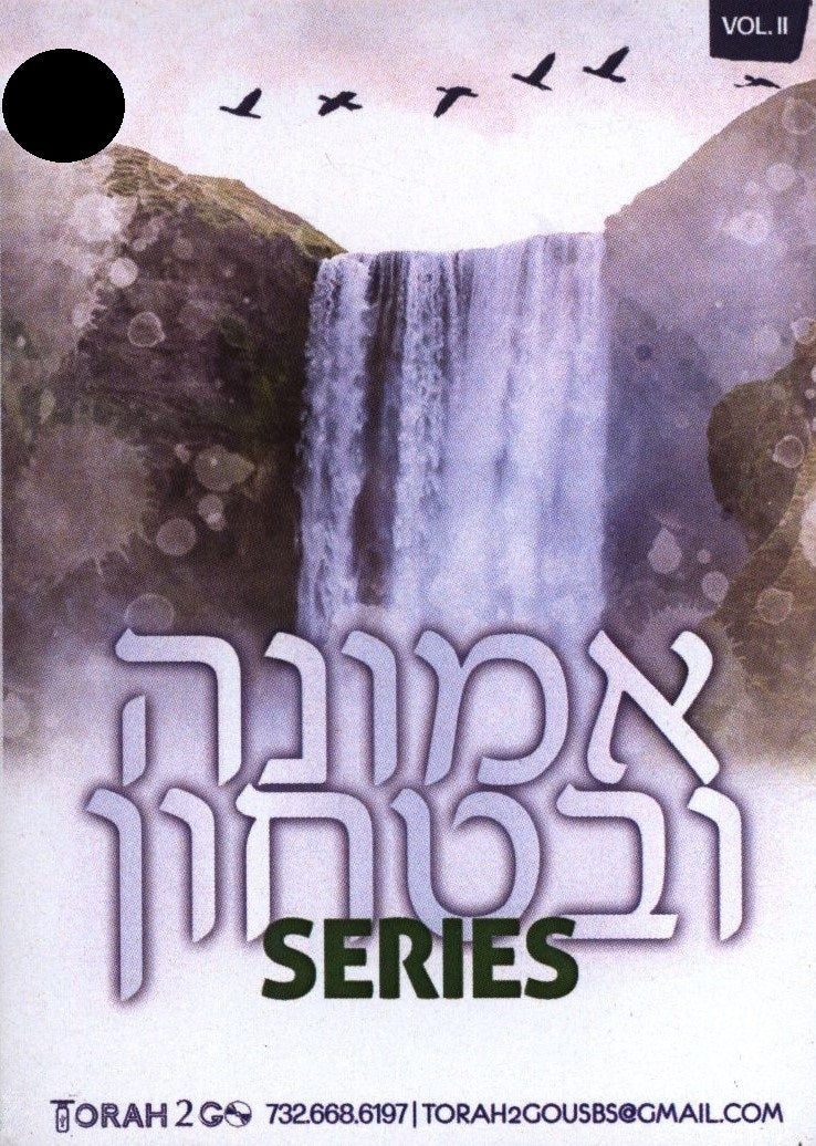 Torah 2 Go: Emunah & Bitachon Series - Volume 2 (USB)