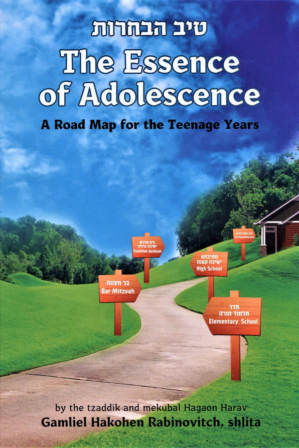 The Essence of Adolescence