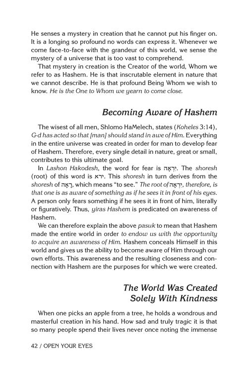 Open Your Eyes - Seeing Hashem Everywhere