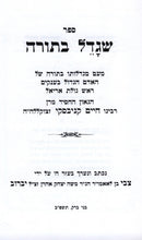 Ashrei Mi Shegadol Batorah R' Chaim Kanievsky - אשרי מי שגדל בתורה ר' חיים קנייבסקי