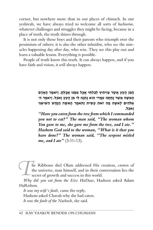 Rav Yaakov Bender on Chumash - Volume 2