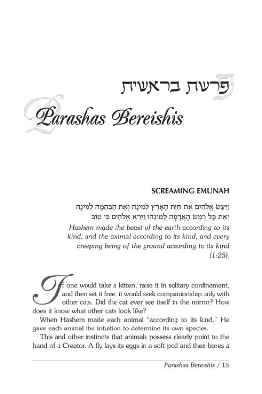 Rav Wolbe on Chumash - Volume 2