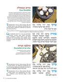The Illustrated Haggadah (Spanish)