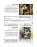 The Illustrated Haggadah