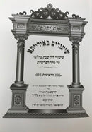 Shiurim Beoreisa Bereishis - שעורים באורייתא בראשית