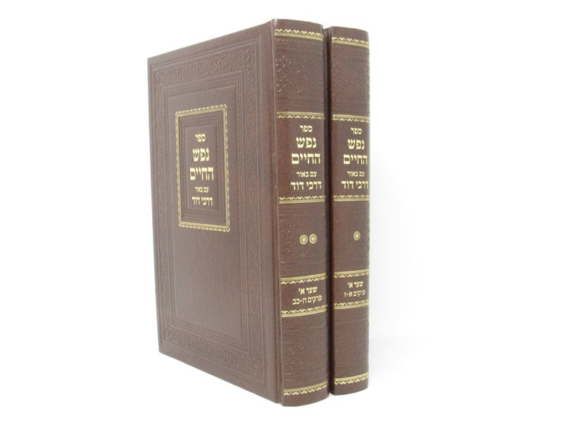 Nefesh Hachaim Im Biur Darchei Noam 2 Volume Set - נפש החיים עם באור דרכי דוד2 כרכים