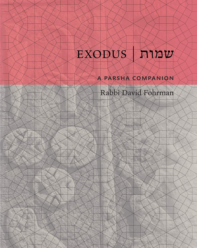A Parsha Companion - Exodus