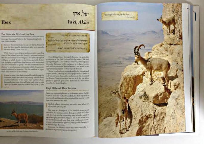 The Torah Encyclopedia of The Animal Kingdom